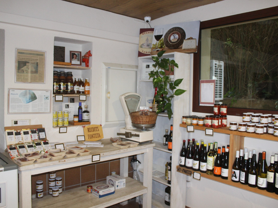 Abricoc-Fonteta必去景点