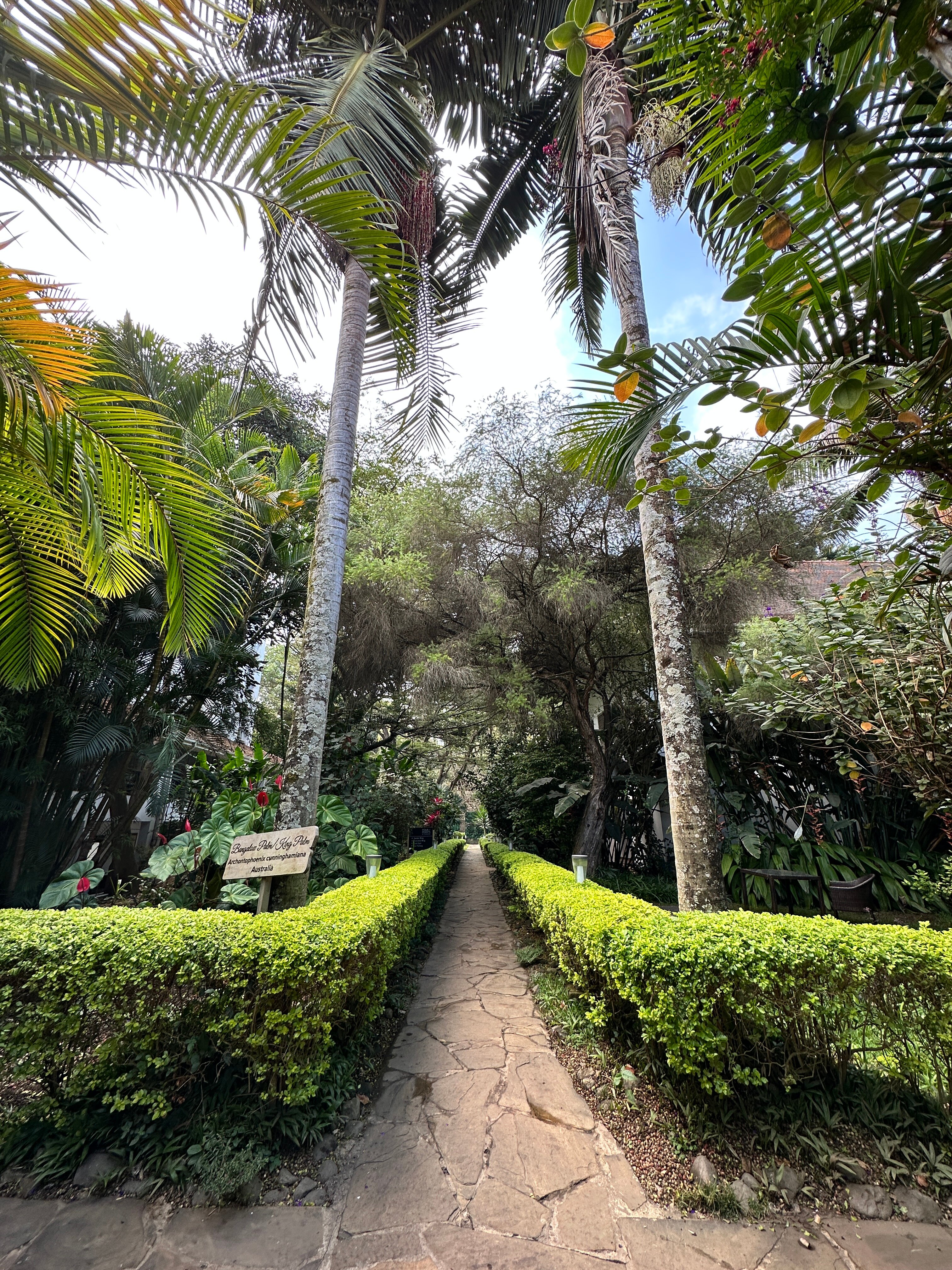 Four Points by Sheraton Arusha, The Arusha Hotel-浴室