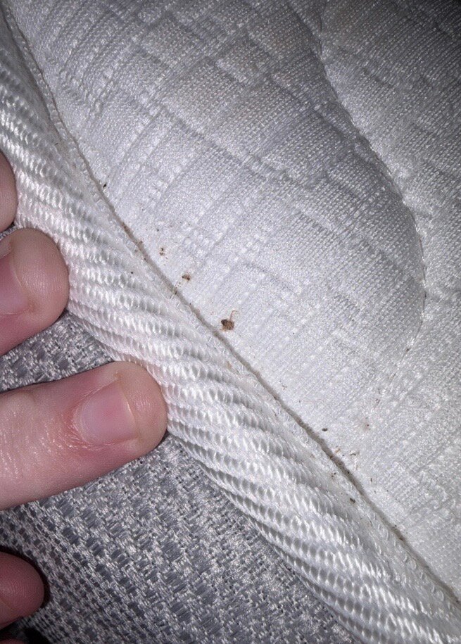 Grecotel Luxme Costa Botanica-官方