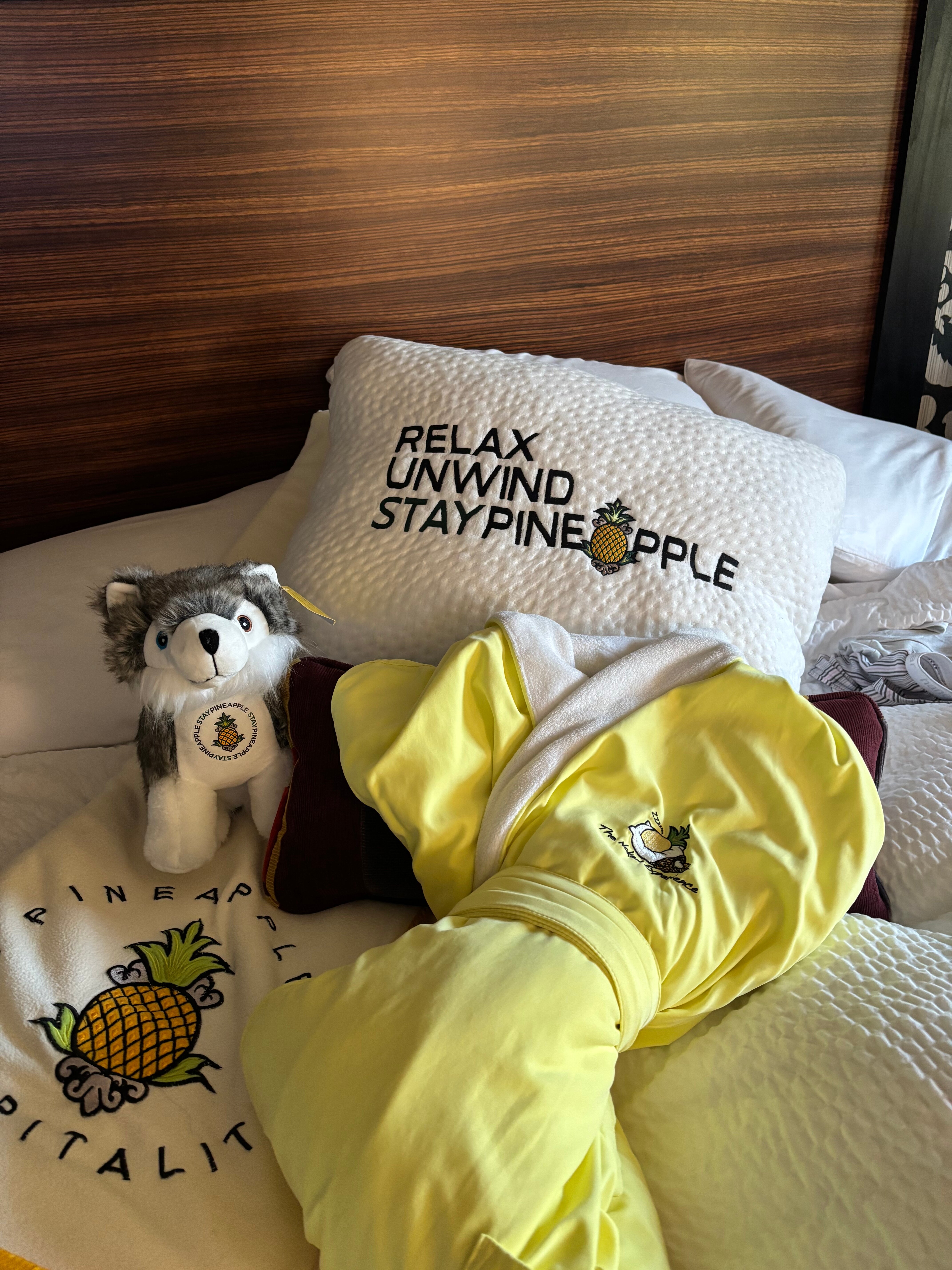 麦克斯韦酒店-菠萝招款待-客卧