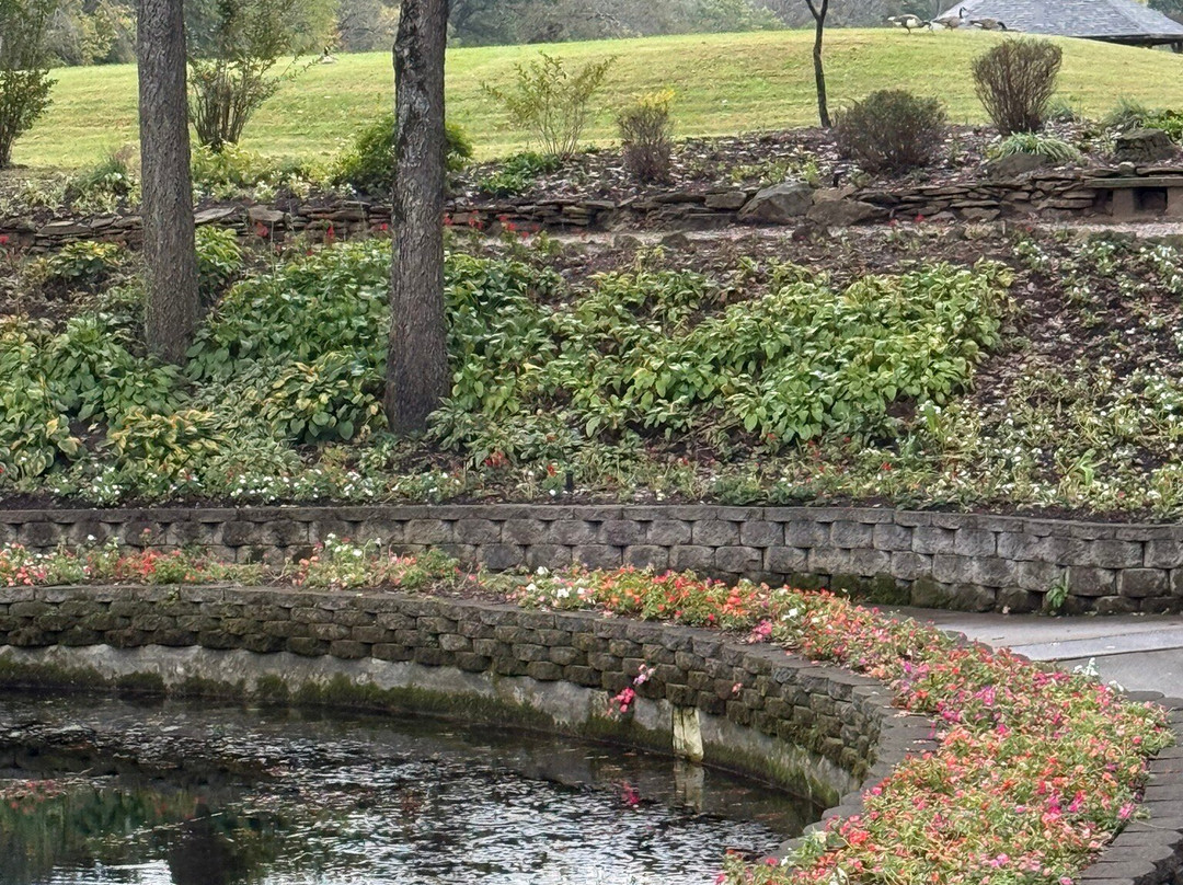 Blue Spring Heritage Center-尤里卡斯普林斯必去景点