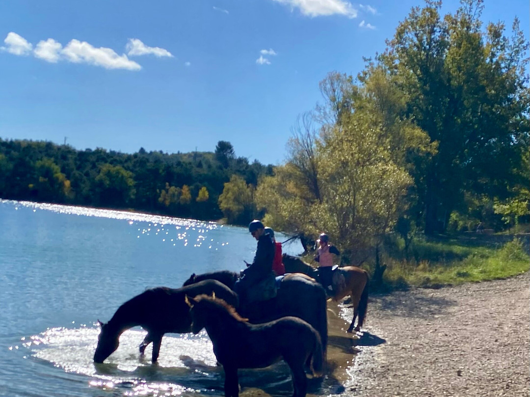 Les Chevaux du Verdon-Artignosc-sur-Verdon必去景点