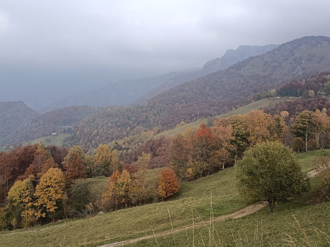Orrido della Val Taleggio-San Giovanni Bianco必去景点