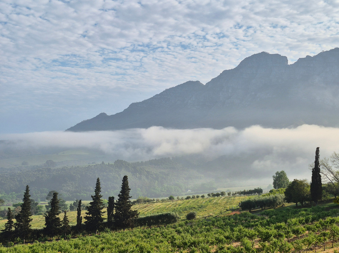 The Hydro; Stellenbosch主图