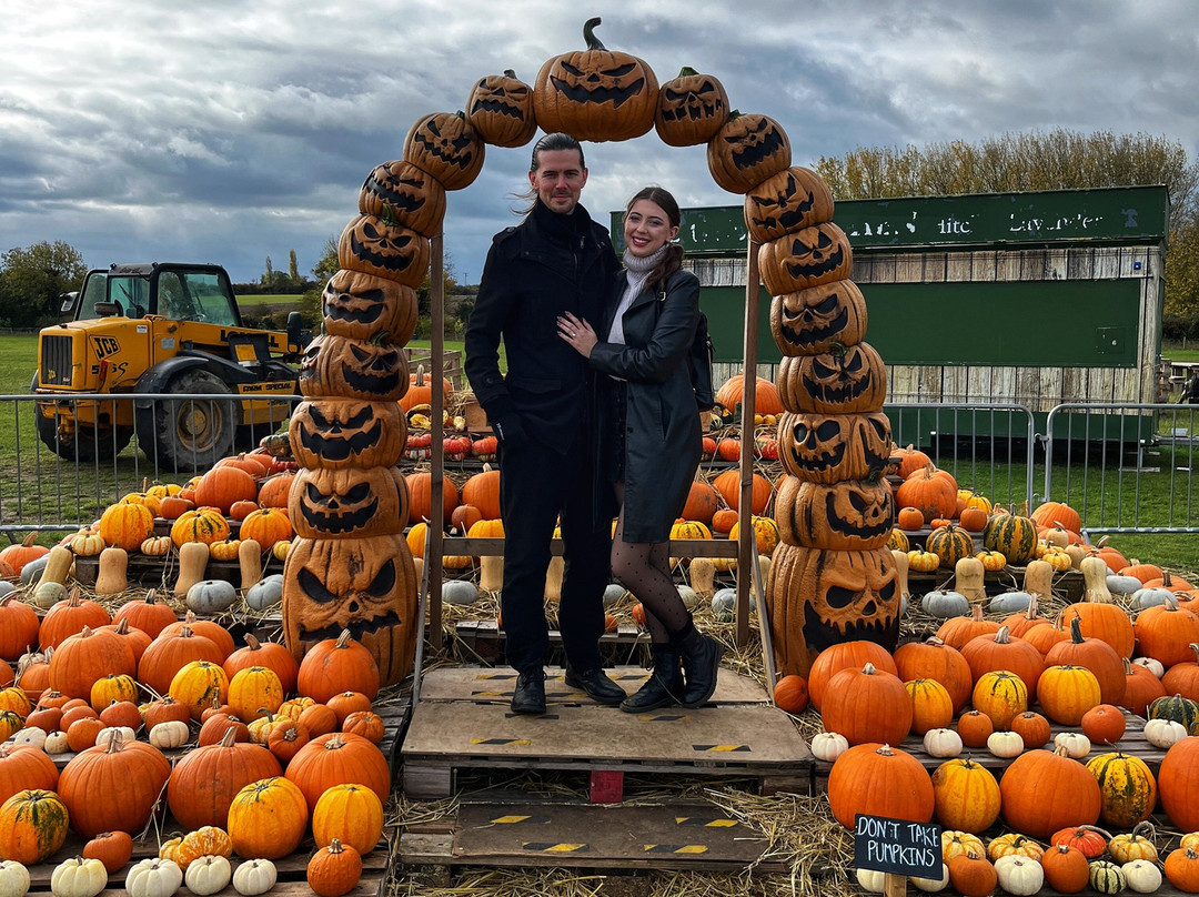 Hitchin Lavender-Ickleford必去景点