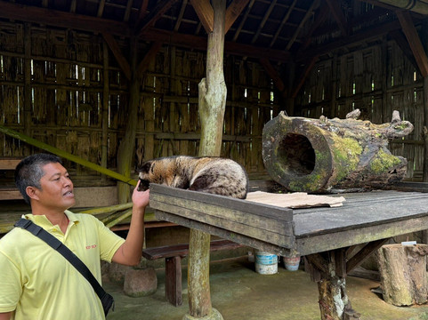 Dothey Bali-金巴兰必去景点