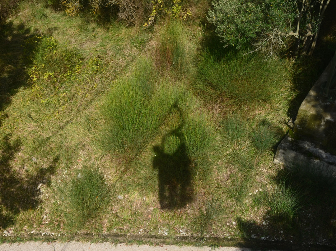 Funivia Colle Eletto-古比奥必去景点