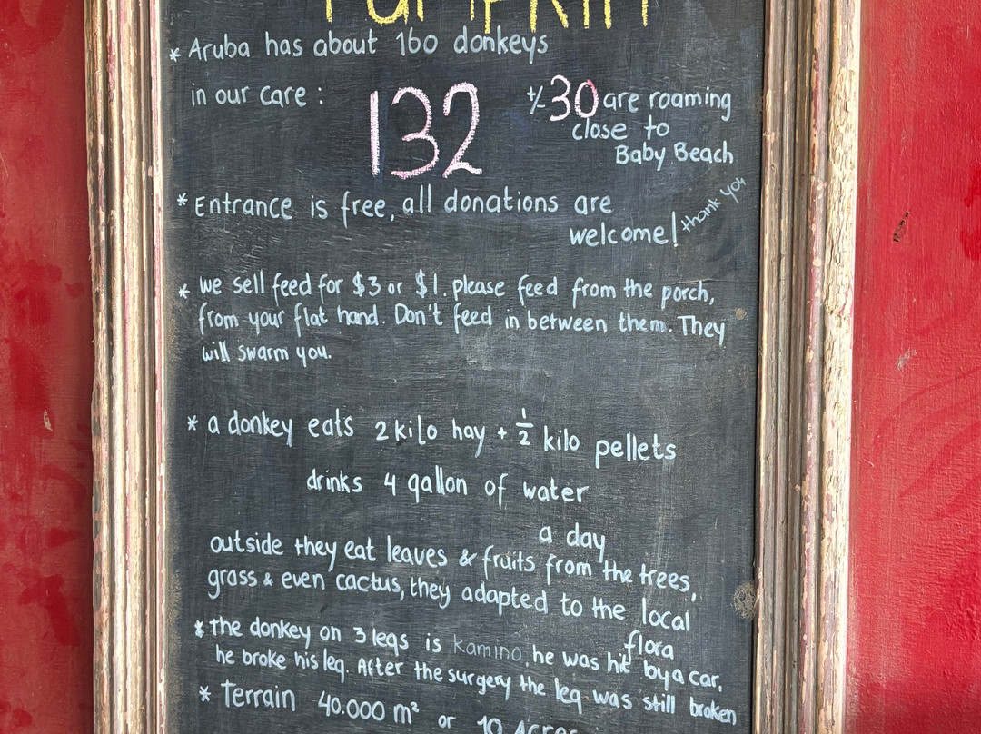 Donkey Sanctuary Aruba-Santa Cruz必去景点