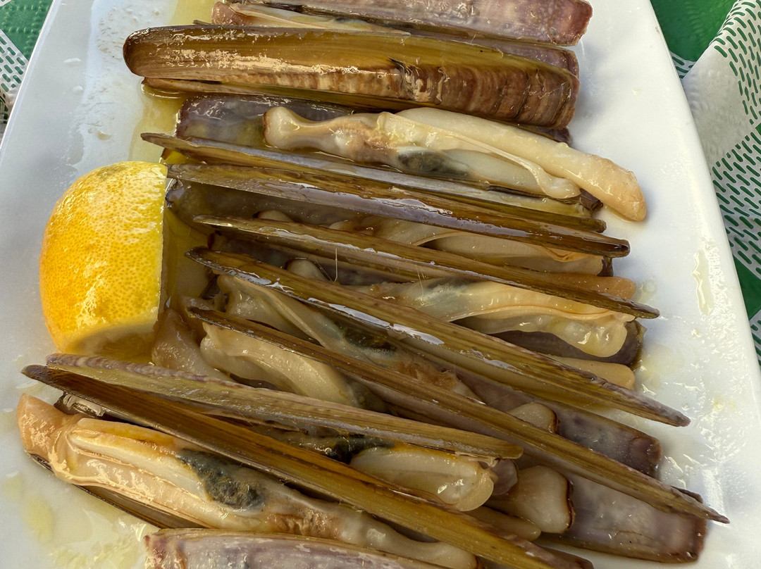 Terracotta Journeys-卡斯凯什必去景点