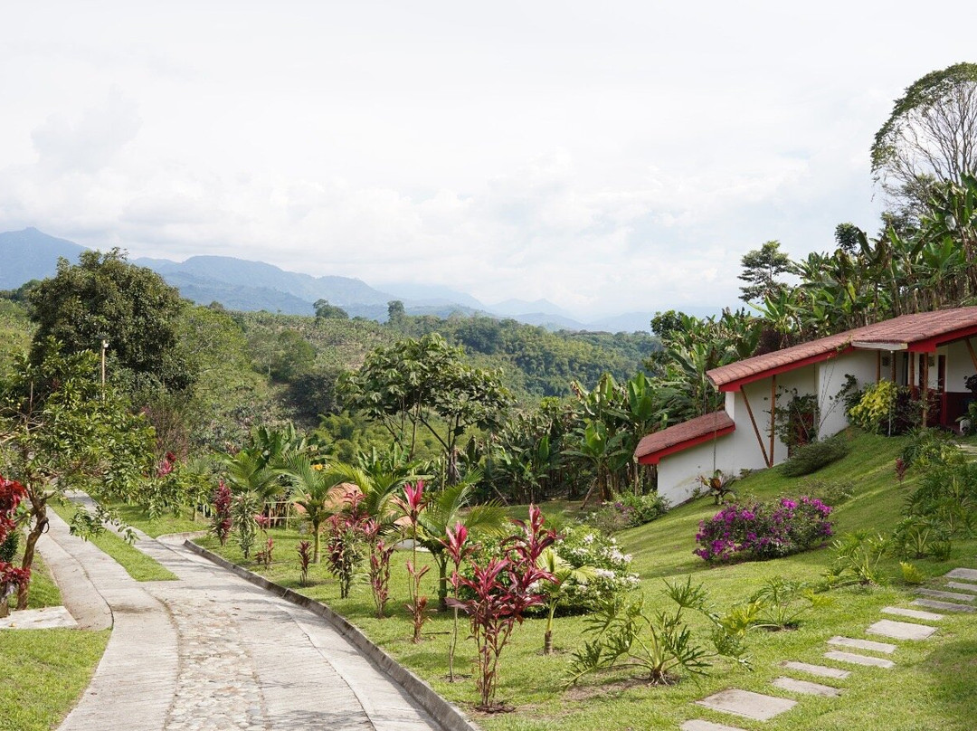 Finca Las Palmitas - Quindio-亚美尼亚必去景点
