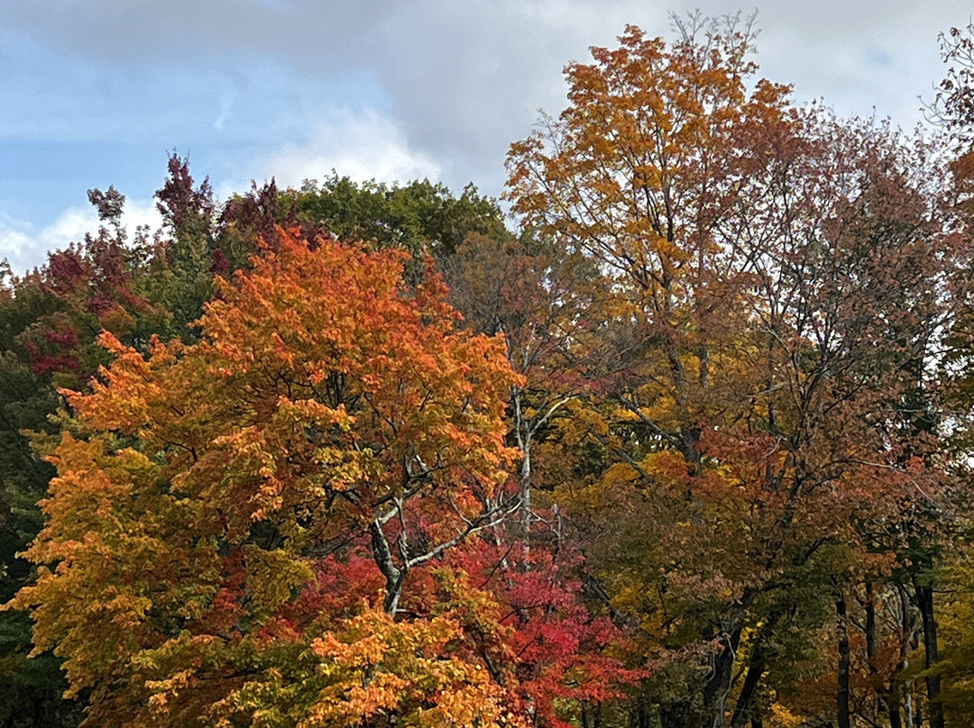 Harriman State Park-Bear Mountain必去景点