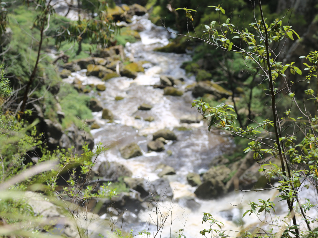 Agnes Falls-Hazel Park必去景点