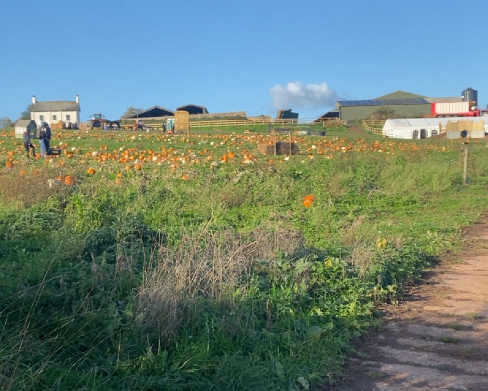 Tunstall Farm Park-Woodseaves必去景点