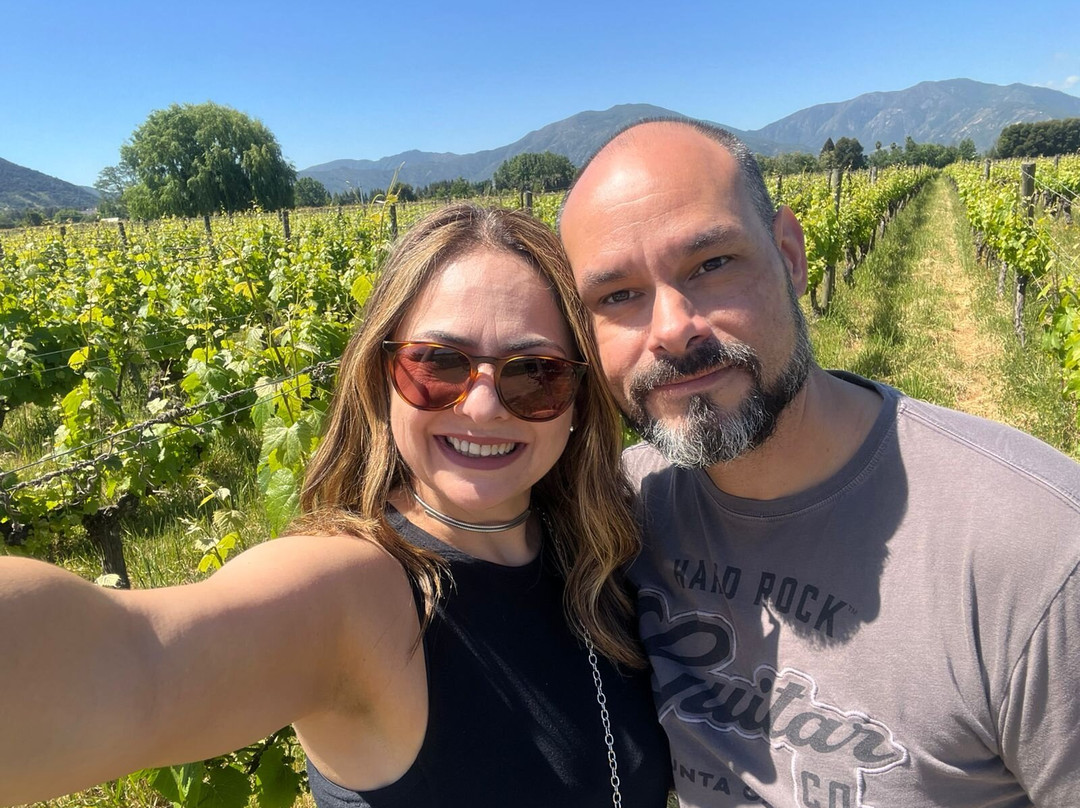 Viu Manent-圣克鲁斯必去景点