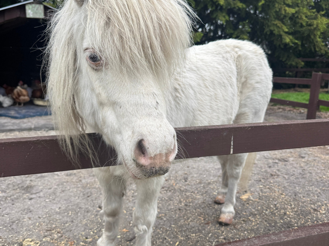 Azure on Panorama-Boneo必去景点