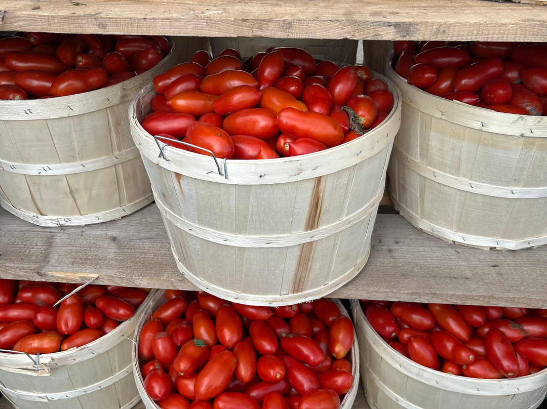 Farmer To You - Taylor Farms-邓达斯必去景点