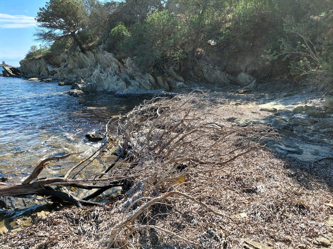 Cala Porto Larboi-Domus de Maria必去景点