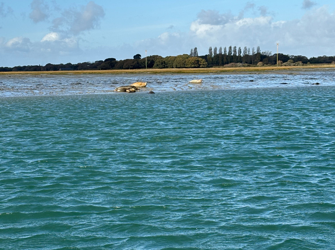 Chichester Harbour Water Tours-West Itchenor必去景点