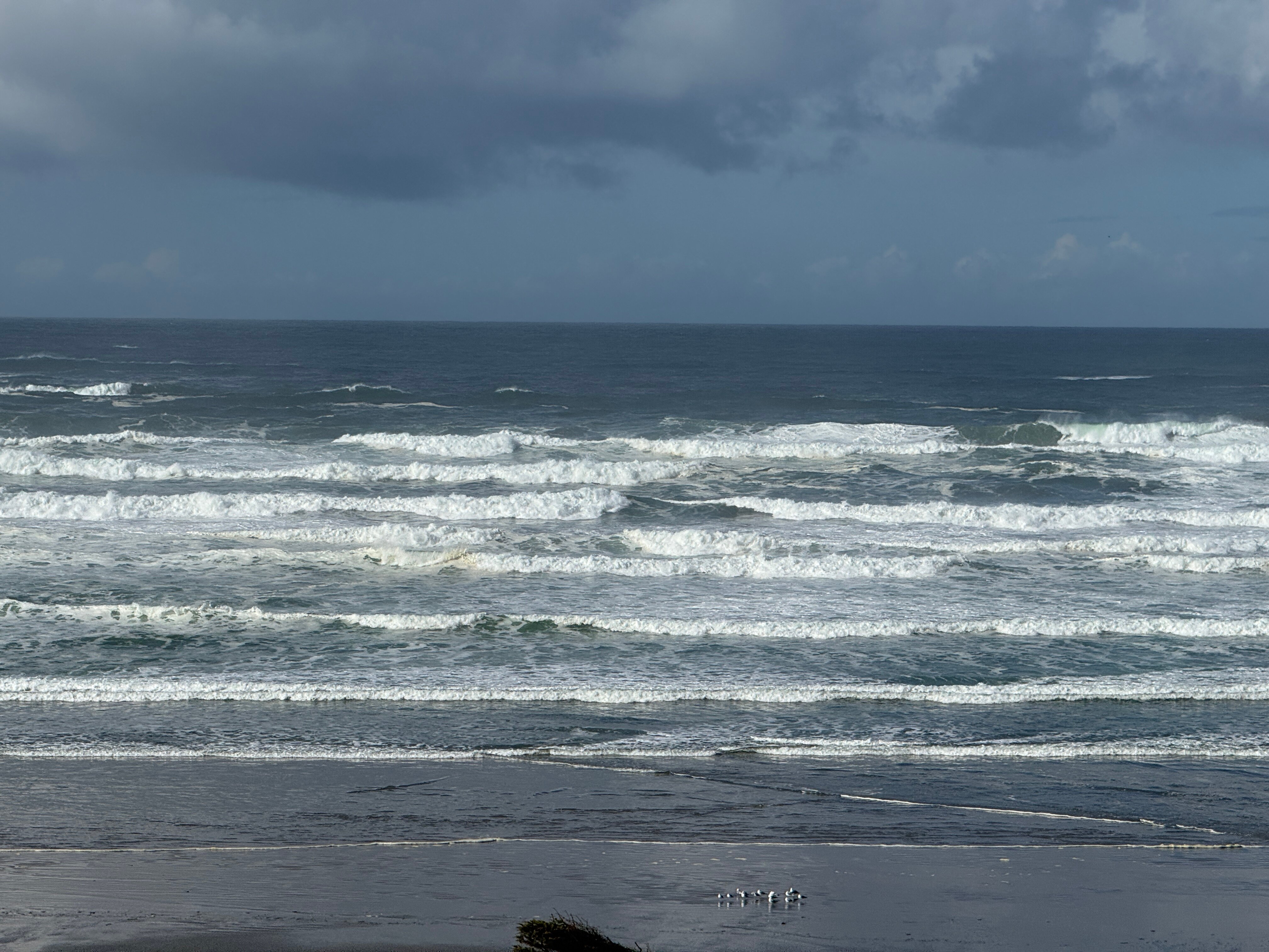 新港霍尔马克度假村-酒店景观