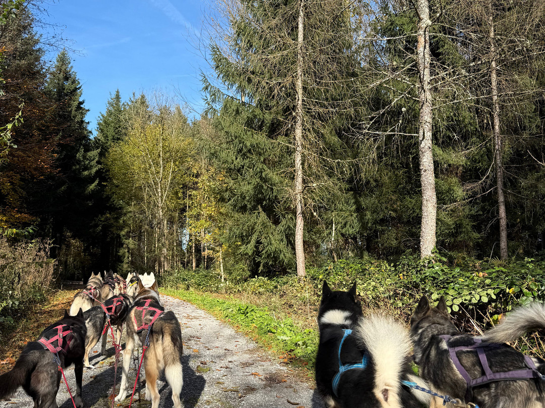 Fischer Adventures Day Tours-圣加仑必去景点