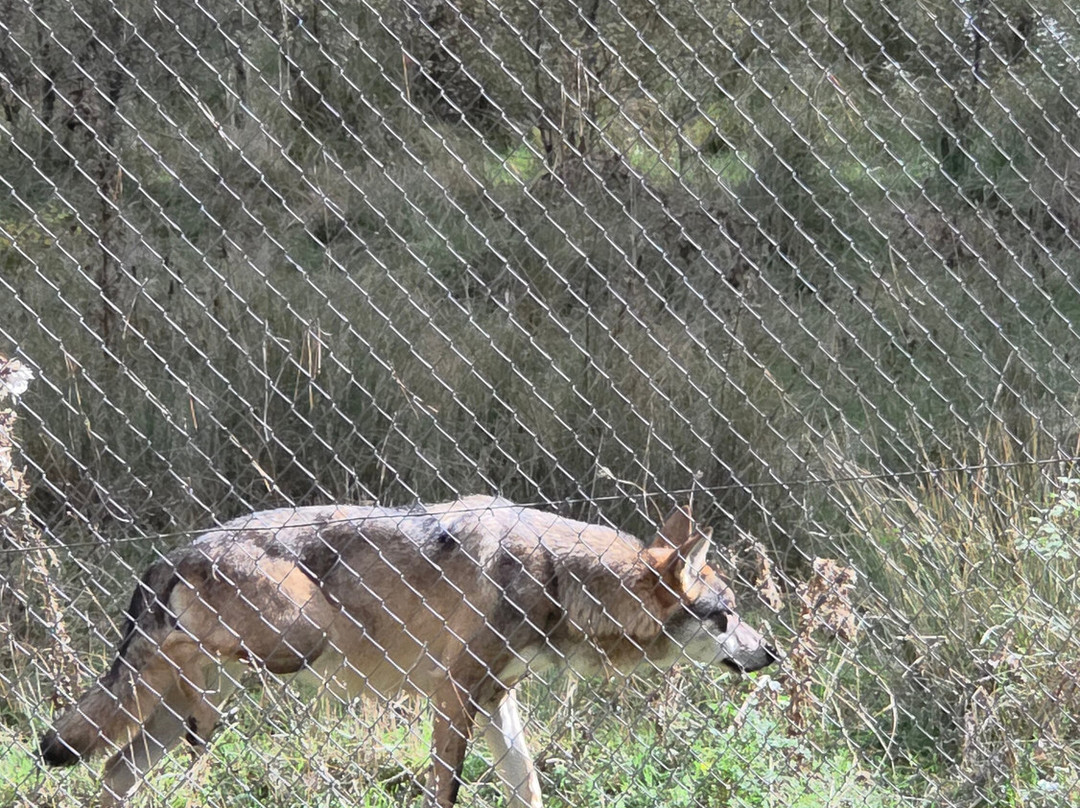 Parque del Hosquillo-拉斯马哈达斯必去景点