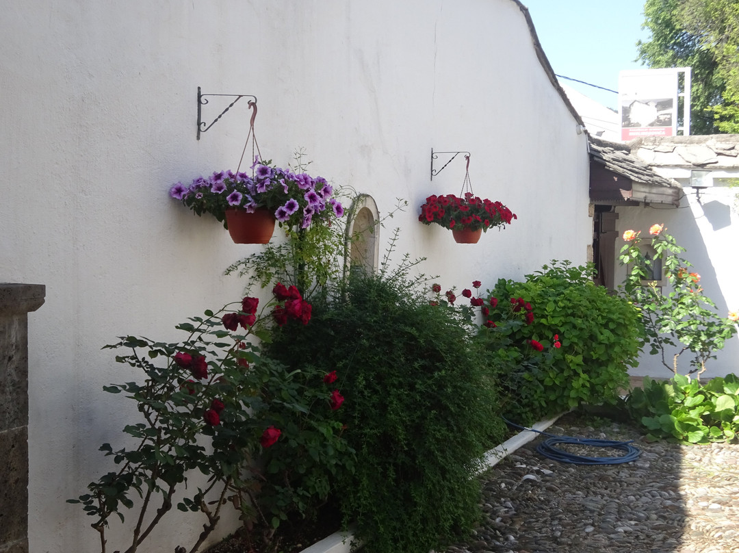 Bosnian National Monument Muslibegovic House-莫斯塔尔必去景点