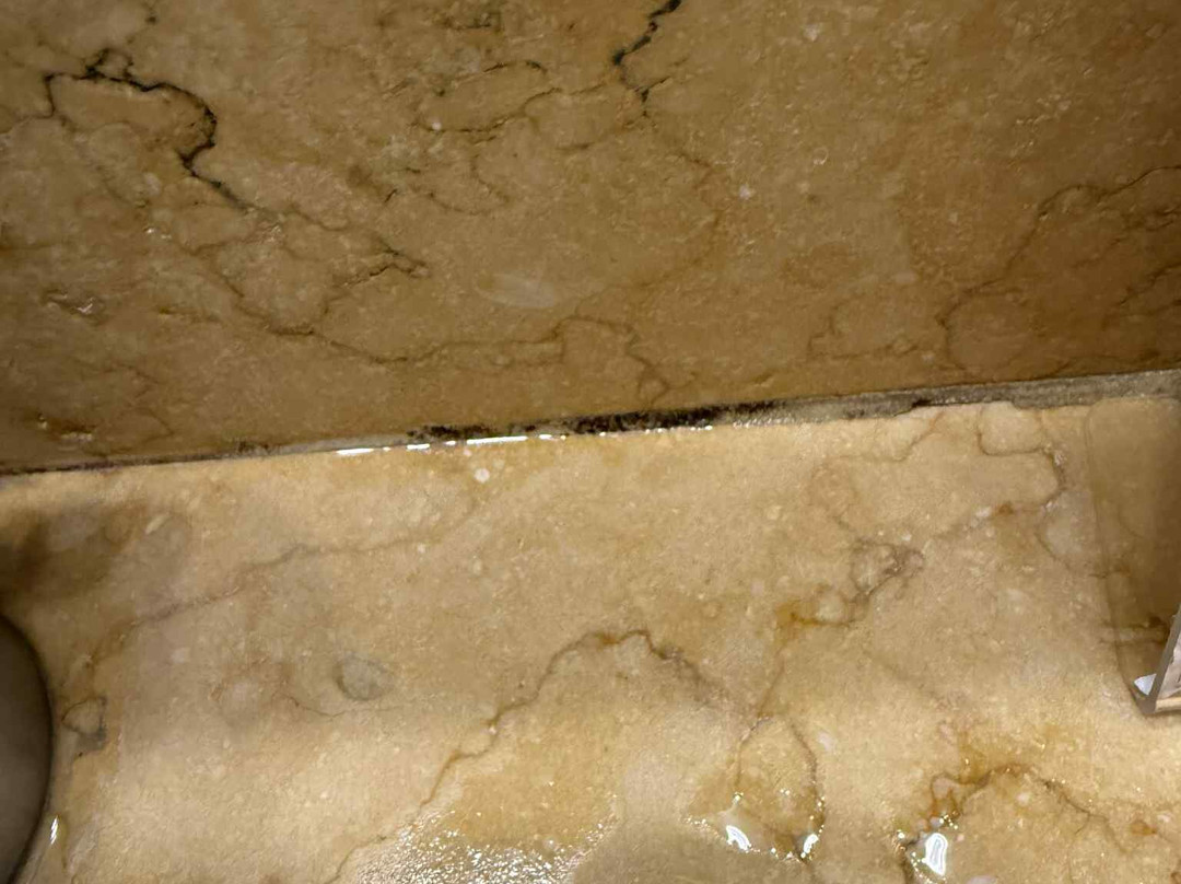 罗曼诺宫豪华酒店主图