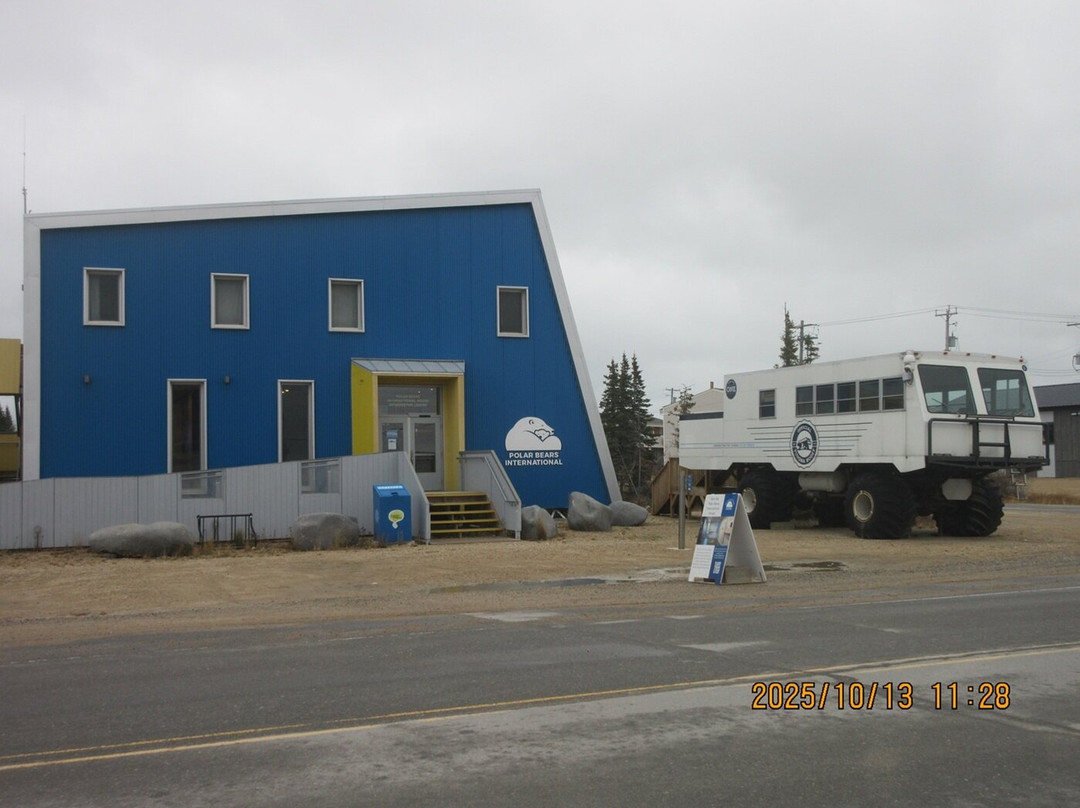 Polar Bears International