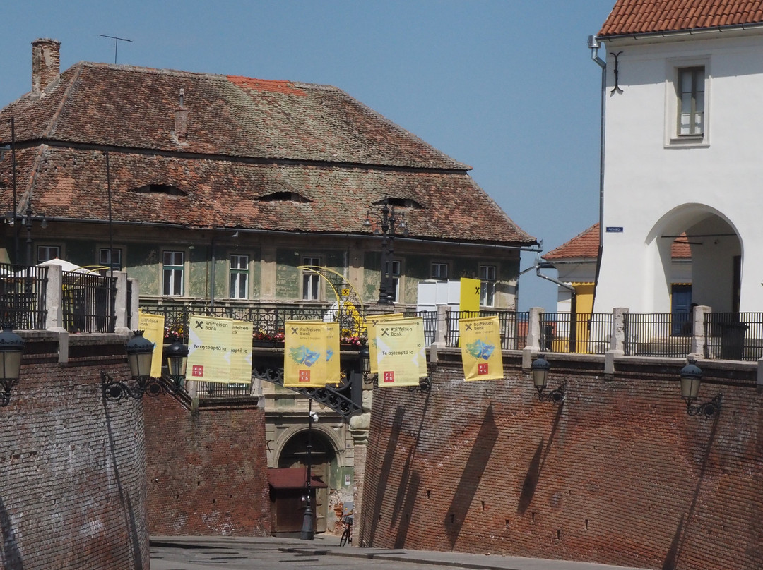 Bridge of Lies-锡比乌必去景点