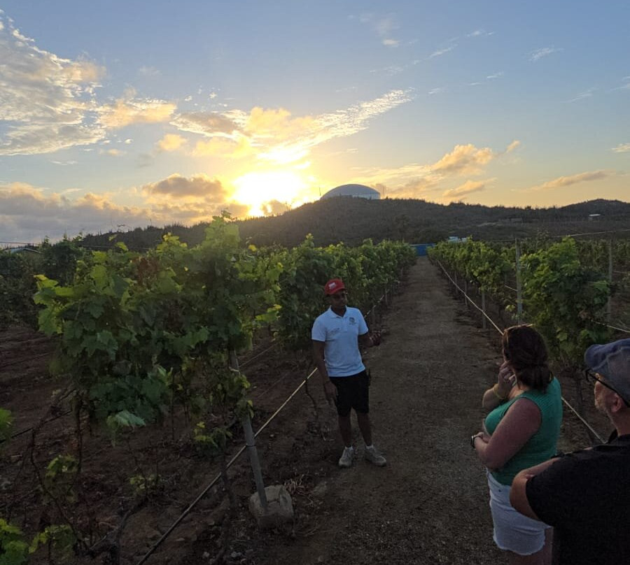 Alto Vista Winery-Noord必去景点