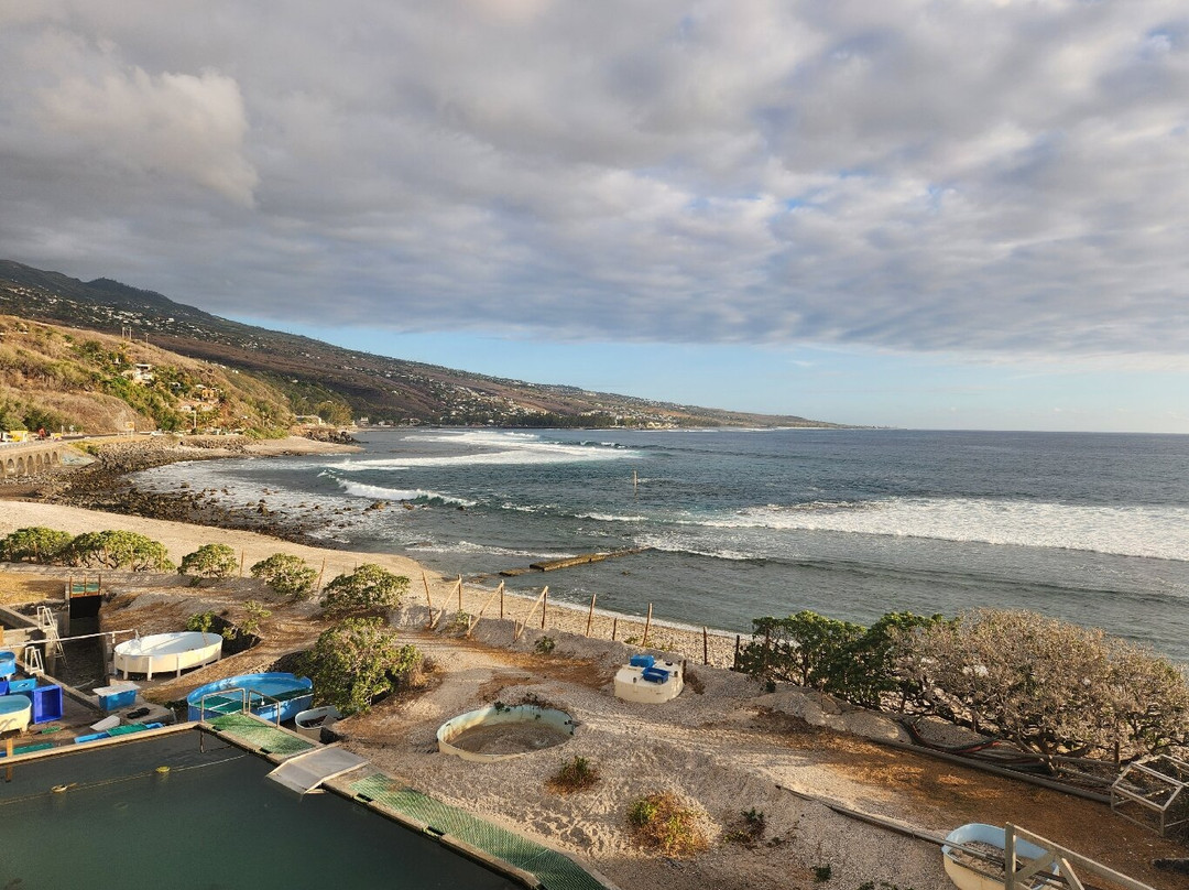 Kélonia-圣亮必去景点