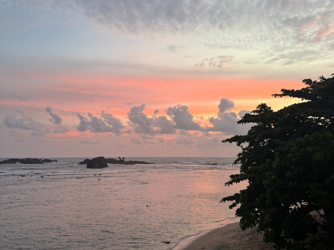 LANKA TOP TRIPS-康提必去景点