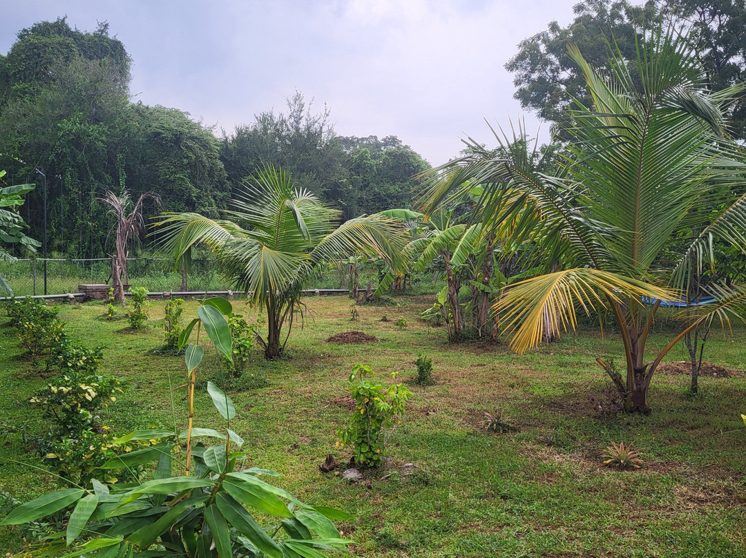 Ceylon Resort Wilpattu主图