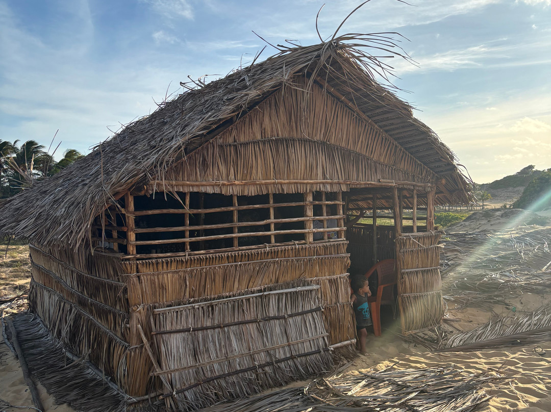 Farol da Foz Ecoturismo-Piacabucu必去景点