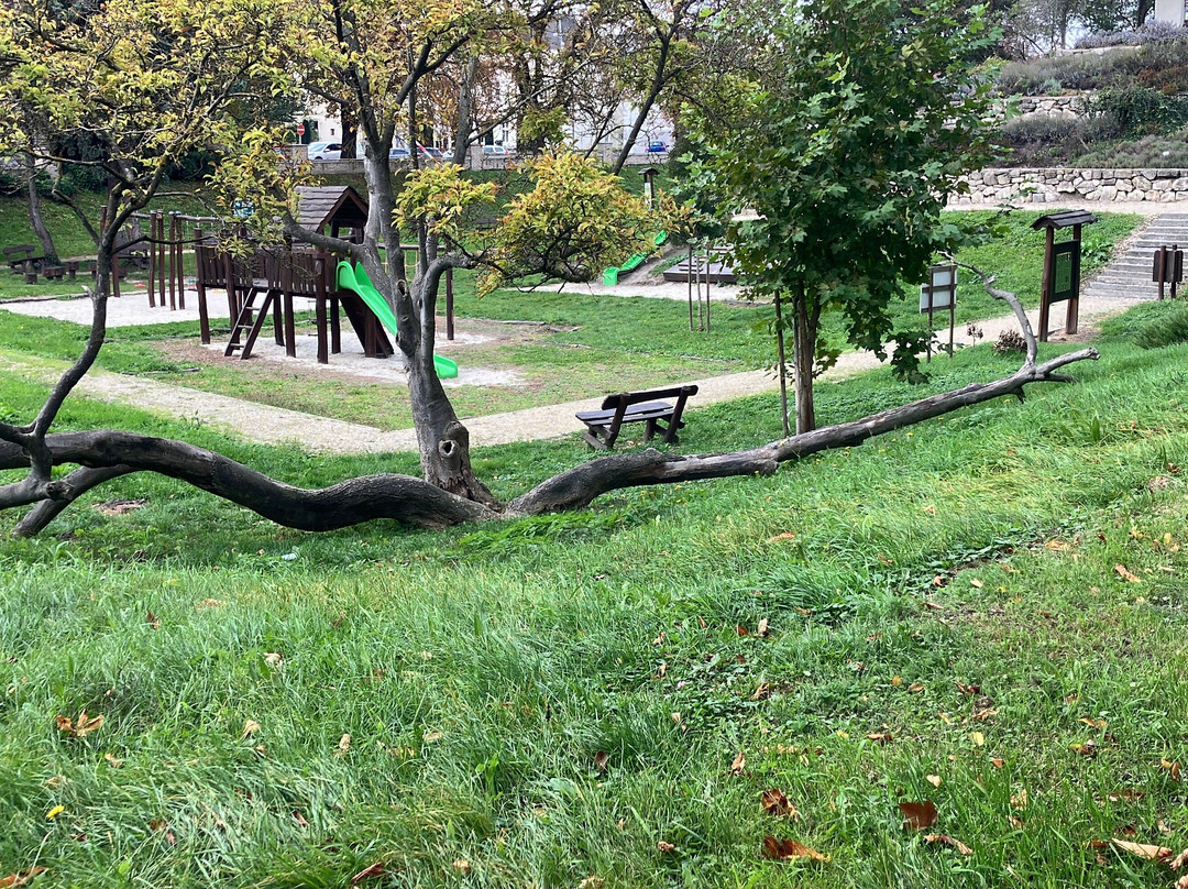 Ökojátszótér Es Tanösvény-Mosonmagyarovar必去景点