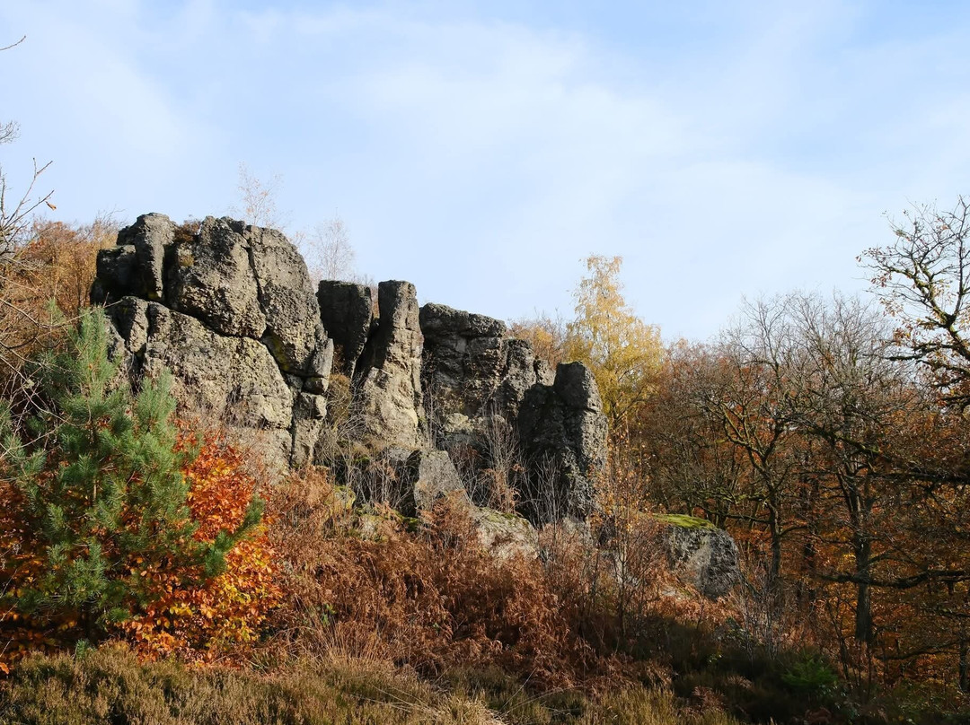 Reserve Naturelle de la Roche a l'Appel-Florenville必去景点