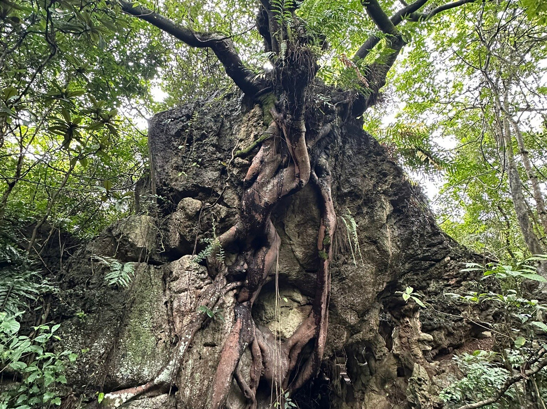 天星桥景区-镇宁布依族苗族自治县必去景点