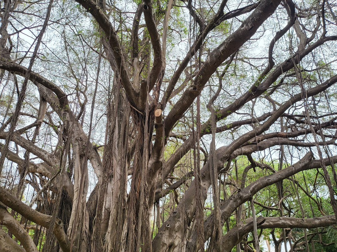 Centre Commercial Bab Ezzouar-阿尔及尔必去景点