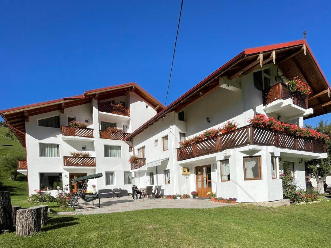 Pensiunea Padurea Verde主图