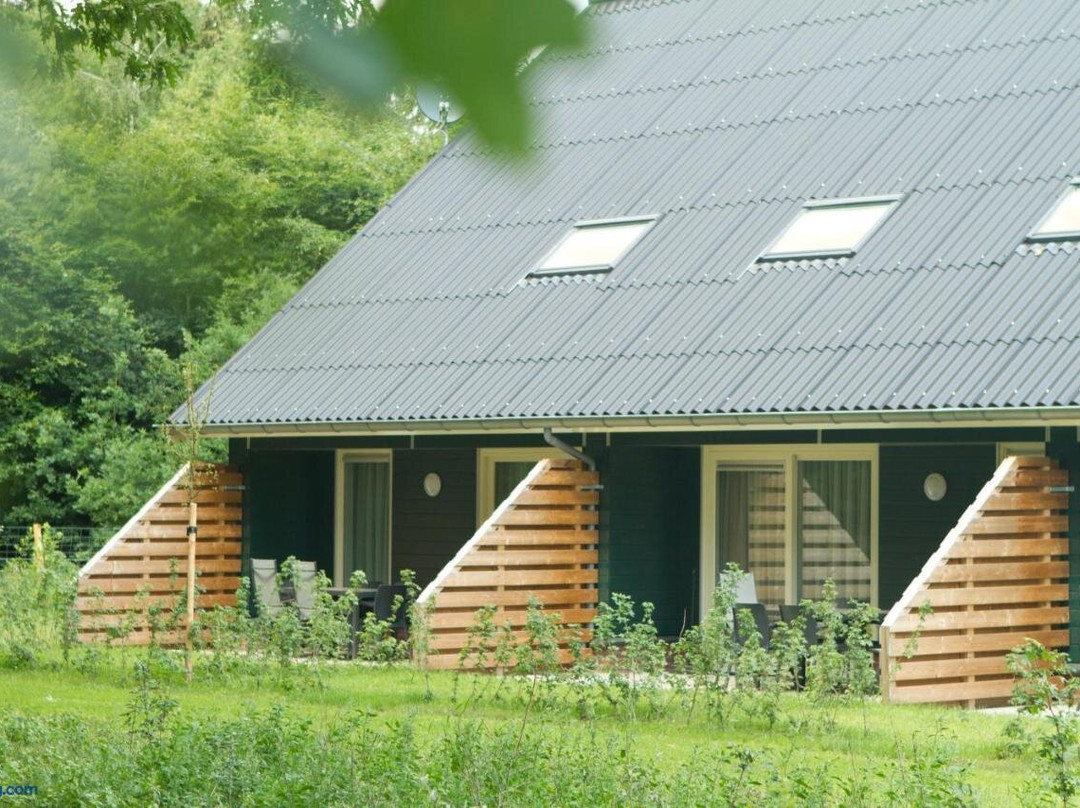 Diffelen酒店住宿-Horsetellerie Rheezerveen