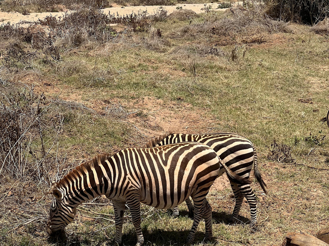 Around Holiday Adventure-查佛必去景点