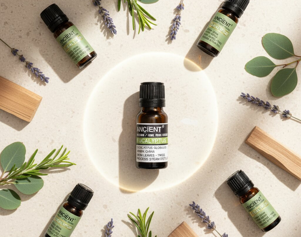 Loja Do Tigo-Mendiga必去景点