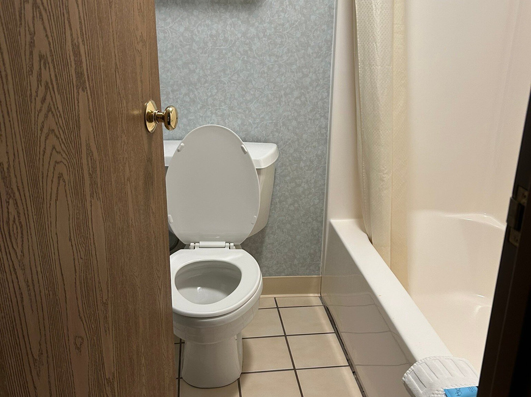 Schmidt's Creek Hotel主图