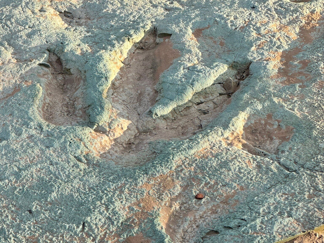 Mill Canyon Dinosaur Trail-莫阿布必去景点