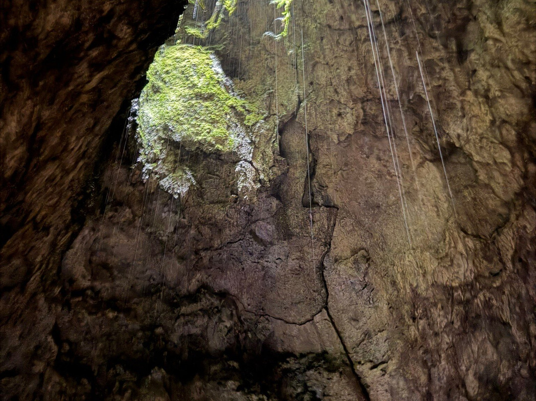 Hana Lava Tubes-海库必去景点