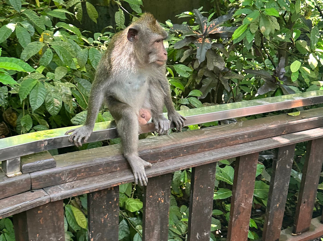 Bali Hire Driver-努沙杜瓦必去景点