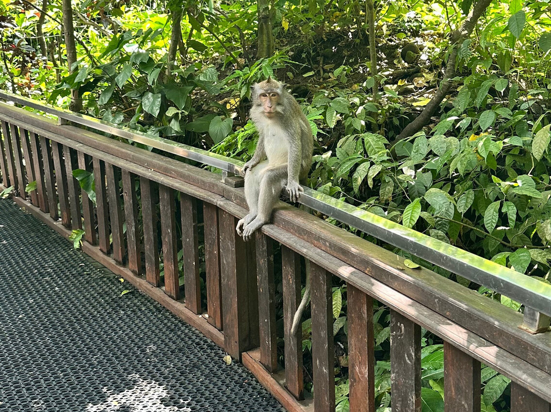 Bali Hire Driver-努沙杜瓦必去景点