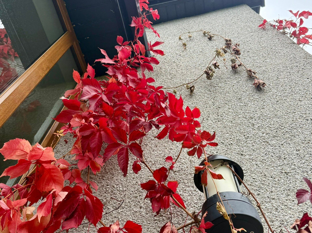 The Vandees Boutique B & B主图