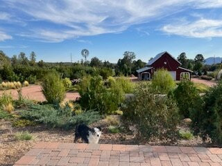 Mockingjay Farm, Llc