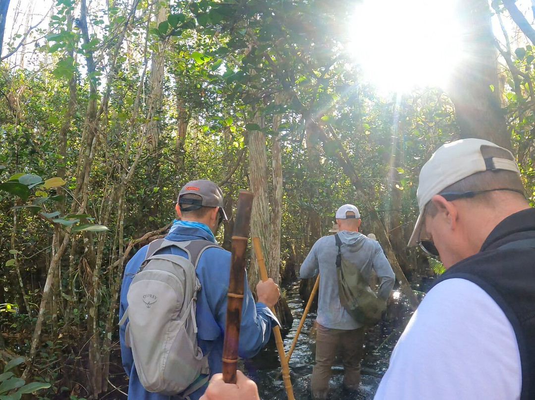 Clyde Butcher's Big Cypress Gallery-奥乔皮必去景点